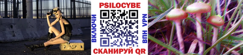 Псилоцибиновые грибы прущие грибы  гидра ссылки  Чехов 