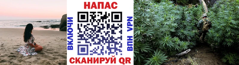 Шишки марихуана White Widow  Чехов 